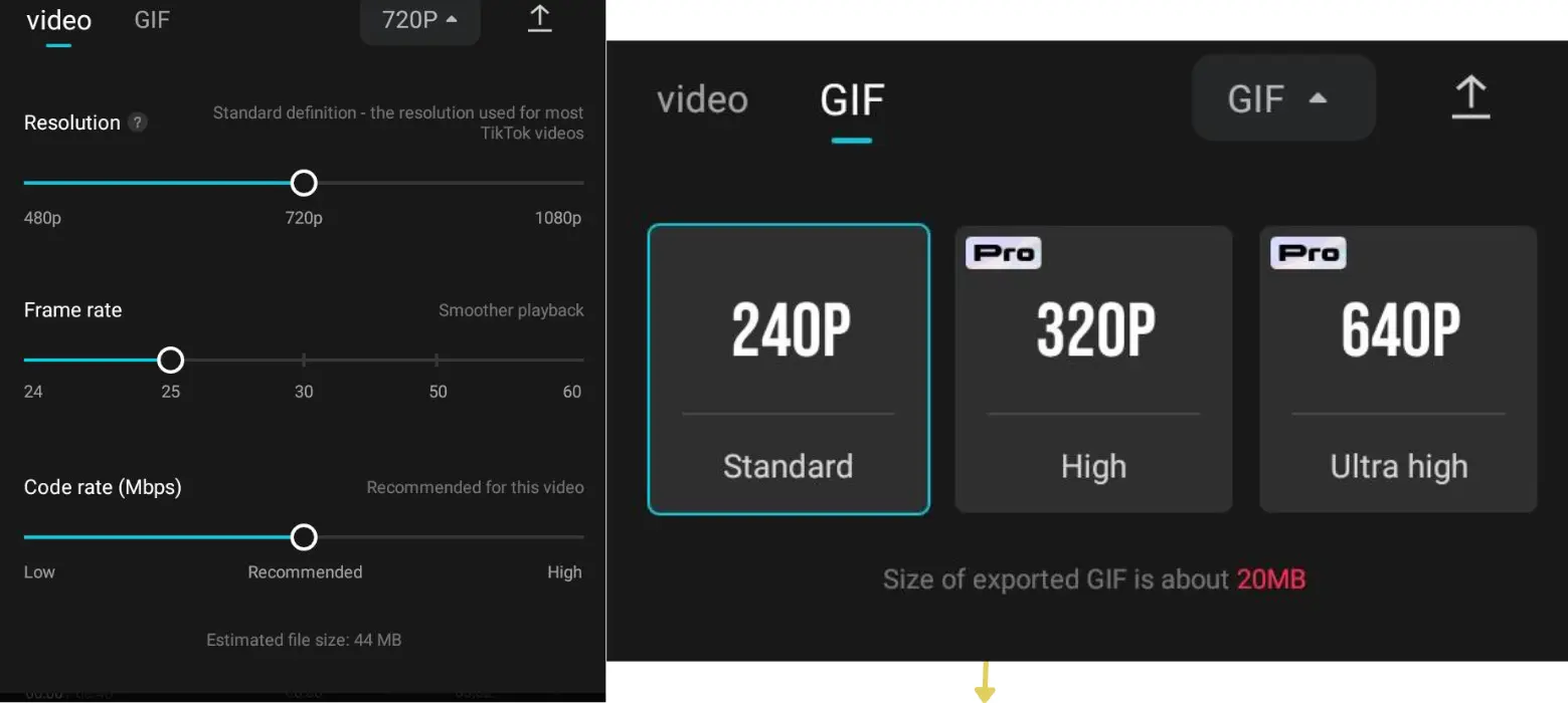 CapCut Video and GIF setting