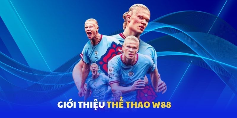 W88 Sports – Hunting for Billions – Changing Your Life in a Moment 2 image 6