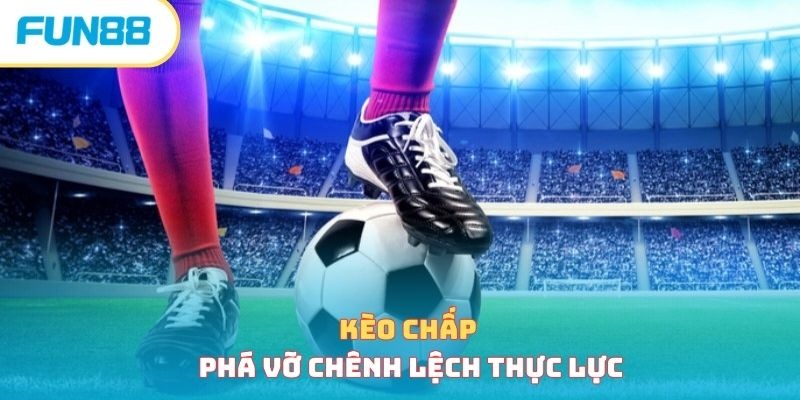 Beginner’s Guide to German Football Betting Analysis for New Players 2 image 90